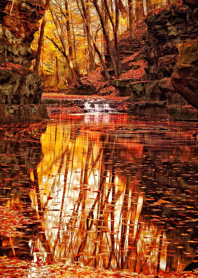 PicPublic's tweet photo. Devils Lake State Park
Wisconsin 

By Matt Anderson https://t.co/wSGQiCulPM