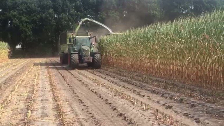 De maisoogst is weer begonnen , houdt rekening met elkaar, geef elkaar de ruimte en pas waar nodig je snelheid aan #slipgevaar #veiligheid #maiscampagne #oogsten
