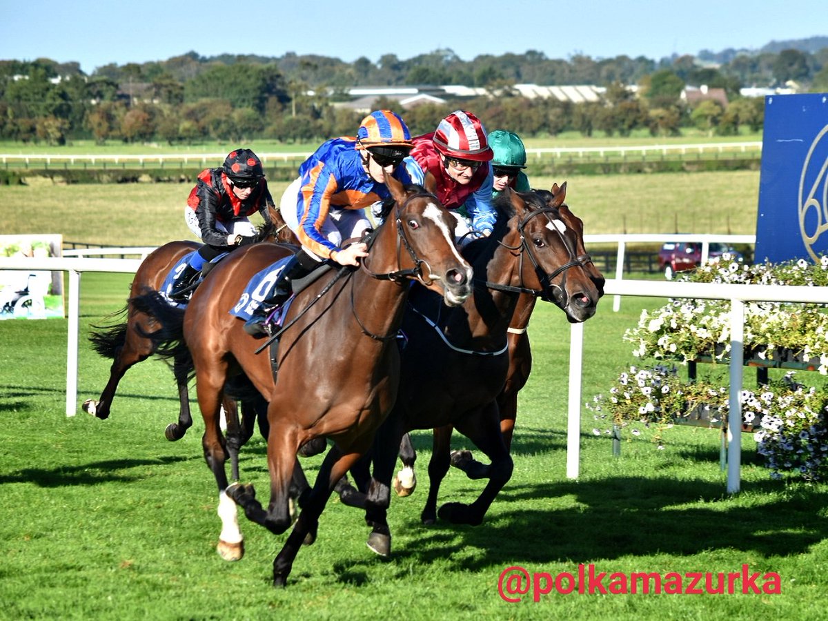 polkamazurka's tweet photo. At @NaasRacecourse
5R Winner👑 Fancy Blue &amp; @donnacha_obrien 
@aobrienfansite 
久しぶりにドナカの勝ちレース撮った🙌 https://t.co/KCqXlaeTeW