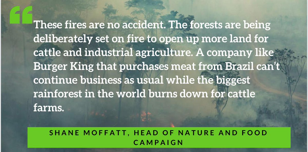 GreenpeaceCA's tweet photo. Greenpeace message to Burger King owners: Don’t Flame Grill the Amazon https://t.co/XCjIqFZBnm #SaveTheAmazon #lessmeatmoreforest https://t.co/t55YLNC2VG