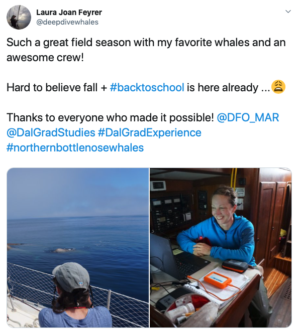 DalGradStudies's tweet photo. Congratulations to Laura Feyrer (@deepdivewhales), winner of the #DalGradExperience summer contest draw! 🐳🎉 Check out her post 👇🏽 highlighting her summer experience as a PhD student in Biology studying northern bottlenose whales! #DalhousieU @DalScience https://t.co/h69gkMfEQ5