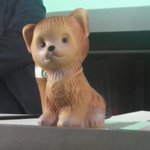 小泉悠 真野森作 ロシアにとって国境とはなにか ウクライナから北方領土までーー 帝国 ロシアの地政学 刊行記念 Okb1917 Tokyo Dogpillow Togetter