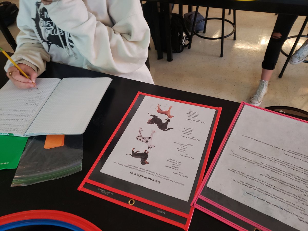 Mrs. Otero tweet media