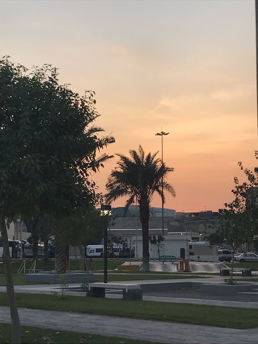 CrystalSuicide's tweet photo. Sunset walks, from fiery flames to cotton candy skies ☀️😍🌆🍂🌴🌳💛🧡❤️💙💜 ✨
~ Sep 18, 2019
#sunsets #FieryFlames #CottonCandySkies #SunsetSkyColors #SunsetWalks #Dusk #nature #September #KFSHRC #Riyadh https://t.co/oKdgPQWY2c