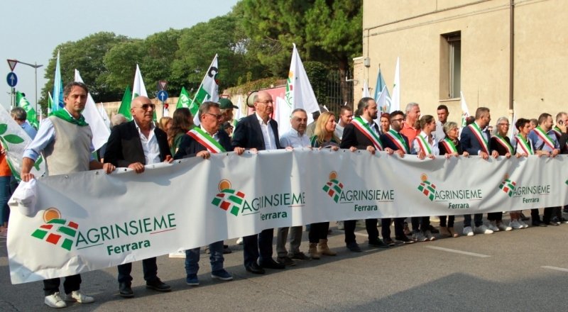 Confagricoltura's tweet photo. Cimice, #Agrinsieme Emilia Romagna in presidio davanti alle prefetture delle province di Modena, Bologna, Ferrara, Forlì-Cesena e Ravenna https://t.co/xMnsH9718e https://t.co/vb59ZBnH0O