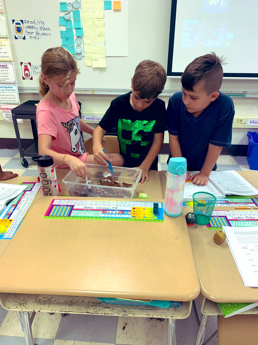 mrshannigan3rd's tweet image. Exploring why living in a group helps some animals survive with an AWESOME experiment today! Seeing how likely it is to catch one particular fish as more and more are added! #dg58pride #dg58learns #tciscience