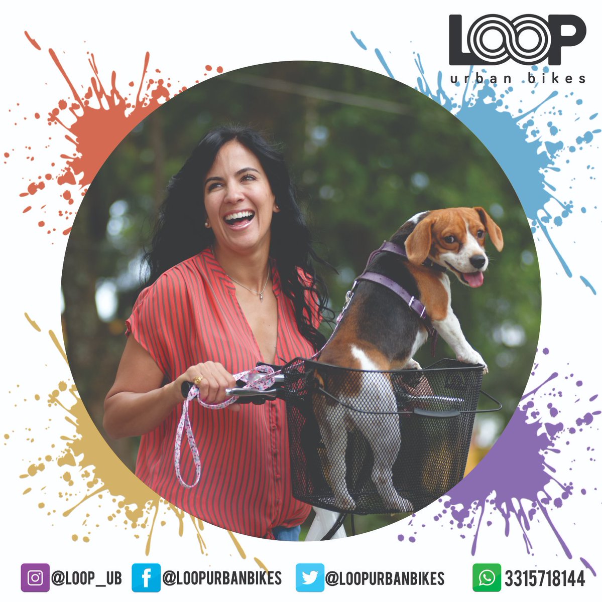LoopUrbanBikes's tweet photo. Disfruta tus paseos como nunca antes y a tu manera🔋⚡

#LOOP #Urban #Urbanbikes #Bicicletaeléctrica #Electricbike #Scooter #City #Ciudad #Ride https://t.co/fC4Ko5Ji9b