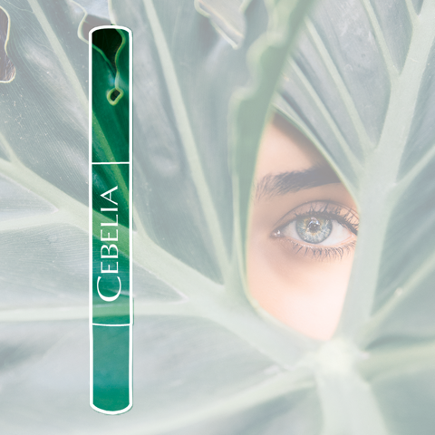 Cebelia tweet media