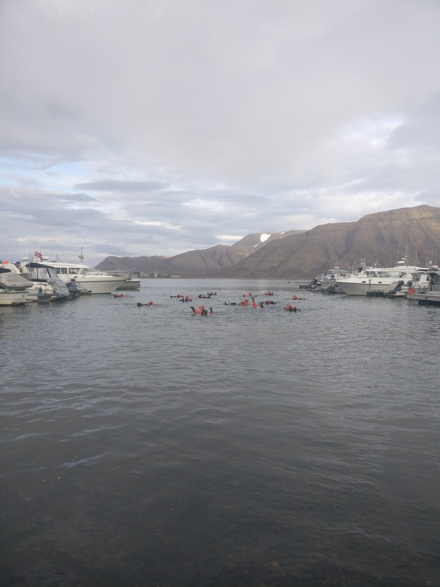 Arctic_Vents's tweet photo. Today we had an excellent training session with @UNISvalbard learning how to rescue ourselves and others from the ice and swimming in the fjord in 3ยฐC! #Arctic #PolarResearch #RCN #Svalbard #HACON2019 #IceWork @forskningsradet @niva @uibgeo @UiTromso https://t.co/L6vxiWHZFa