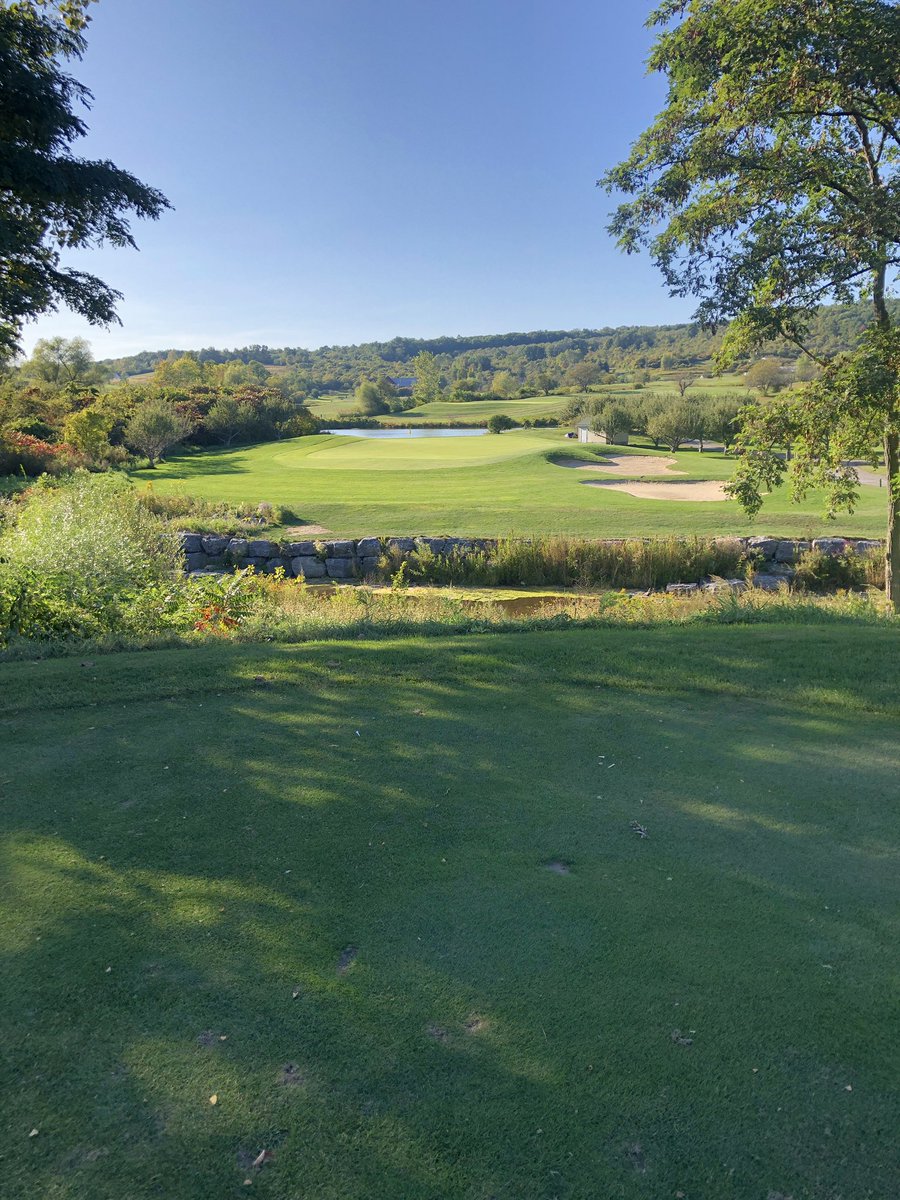 LSI Golf tweet media