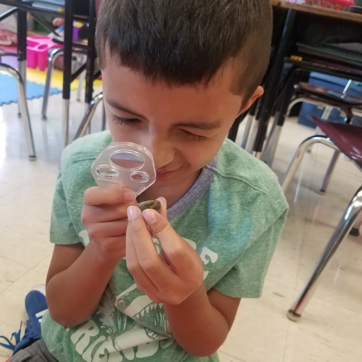 Kasper_309's tweet photo. Examining details of rocks so we can add details to our writing! @BrodnickiSchool #d109pride  #adventuresofabulldog https://t.co/AnBJdZ6AxJ