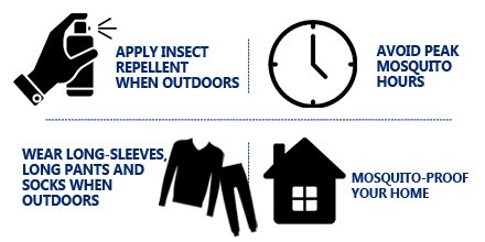 MassDPH's tweet photo. Learn more about #EEE in #Massachusetts and how to keep yourself and your family safe: https://t.co/7DmUUg6G1i https://t.co/fXFfCAkeUe