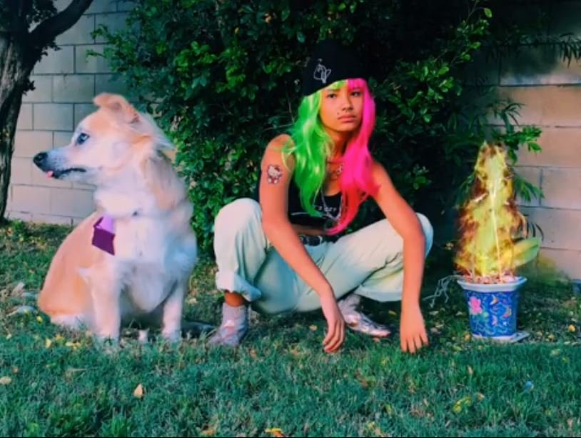 Keshkesh02's tweet photo. If you tired of the bullshit then let that shit go, u a jem let that bitch know 😉 -
-
-
-
-
#badbitch #uaindependantbadbitch #lmfaoo #keshkesh #keshkeshofficial #wusgood #likeokaybitch #love #dog #puppy #puppylove #bigassdog #fire #trynagetlikeme #ily #Mwah https://t.co/nxvRt4N4fB