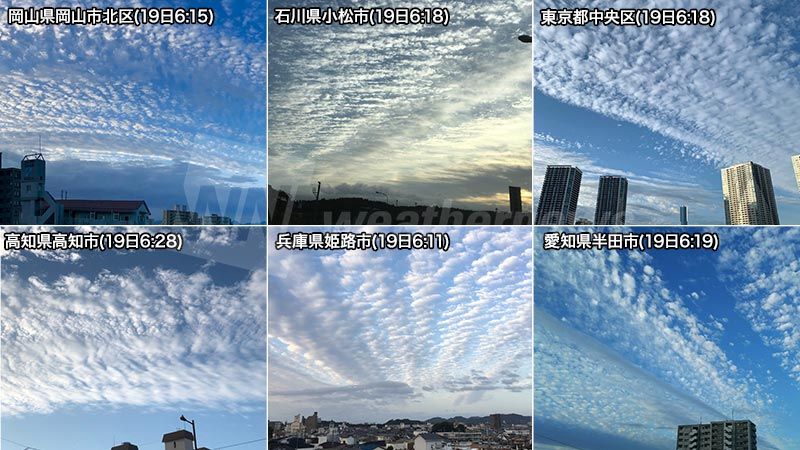 Twitterで画像を見る