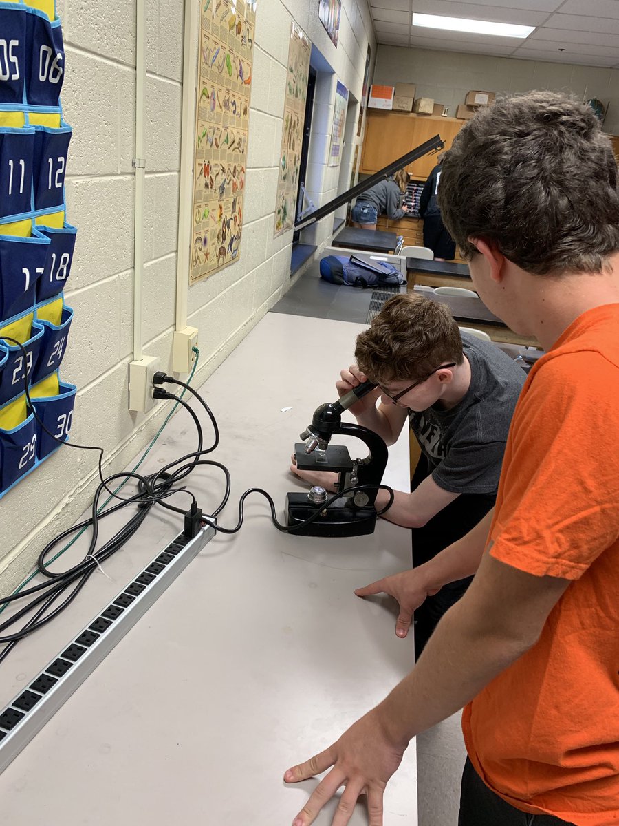 DrazekScience's tweet photo. Students learning about the microscopic world.  They had a blast! The last pic is a budding hydra! #btsdtigers #btsdpride #microscope https://t.co/KvvV22qiGN