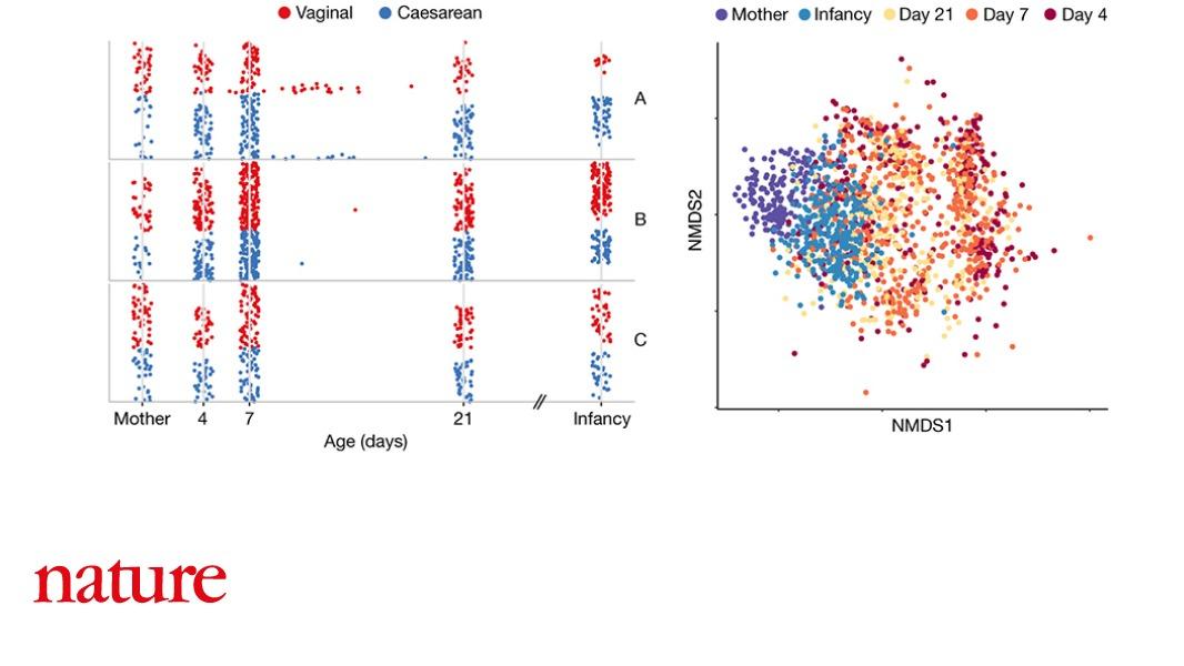 NaturePortfolio's tweet photo. Babies delivered by caesarean section tend to have altered gut microbiota and are more prone to colonization by bacteria that potentially cause disease, according to a report in Nature. https://t.co/URGacjndMV https://t.co/RZmLOt3p1s