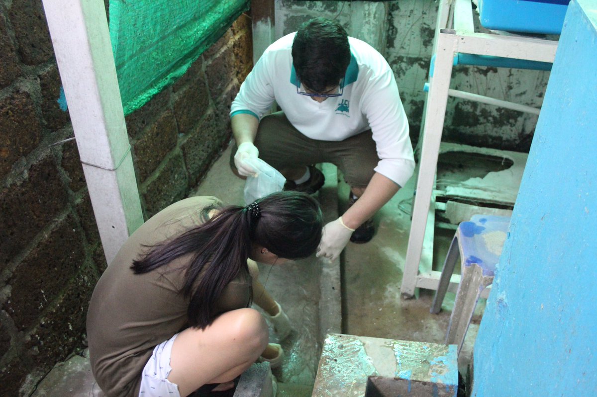 Day 2. We collected water samples at the supplier’s fish farm facility and tested a few for parasite eDNA using the <a href="/BiomemeInc/">Biomeme Inc.</a> M1 prep kit and the Franklin, which ran like charm although we had no positive detections...yet :) more to come @DeptAgNews (1/3)