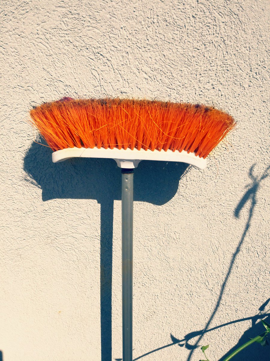 ☘: I present to you... Ferdinand von Broom 👀❗
