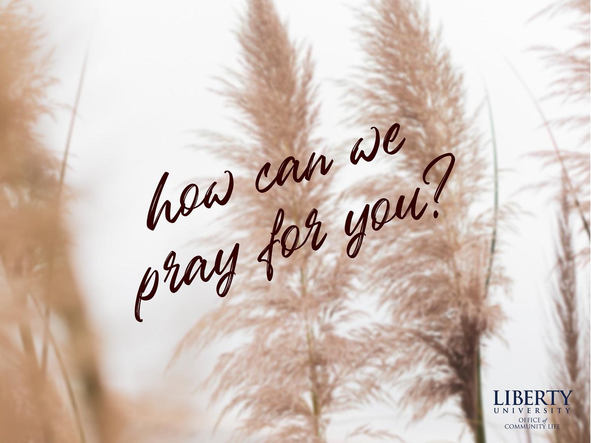 LUCommunityLife's tweet photo. Comment your prayer requests below! ๐ #LetsPrayMonday #MondayMotivation #PrayersUp #LUCommunity #LibertyUniversity https://t.co/ANSPPRHEOm