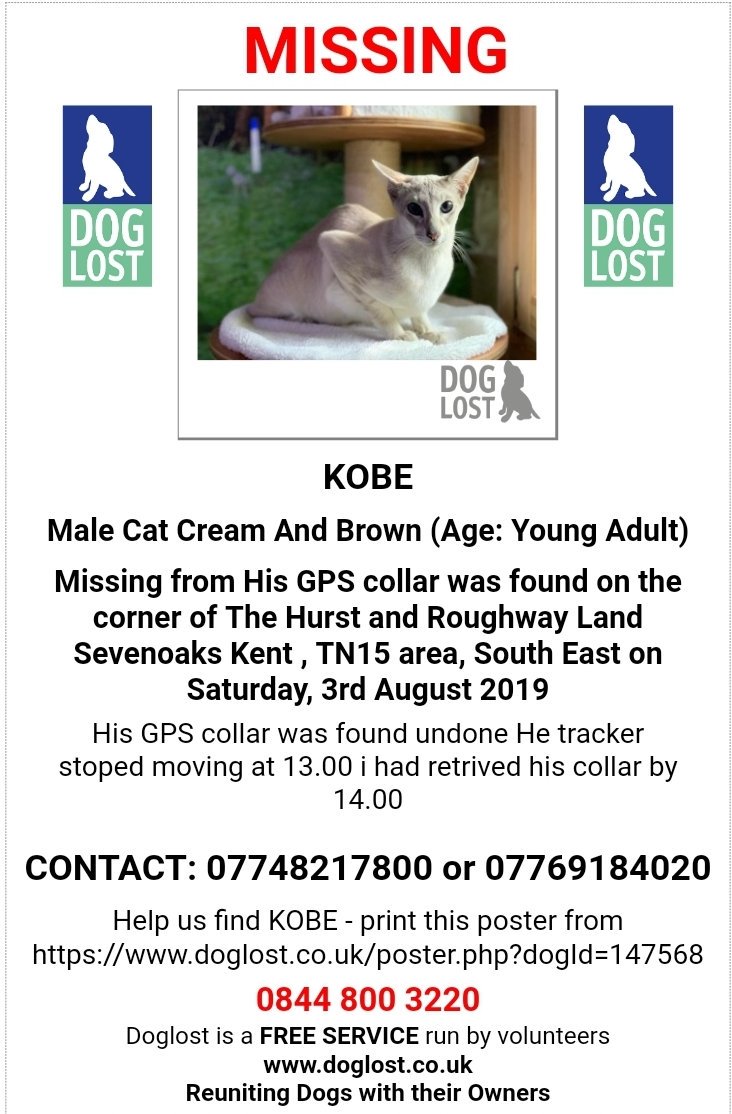 MissingPetsGB tweet picture