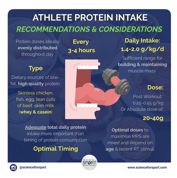 protein recommendations for athletes