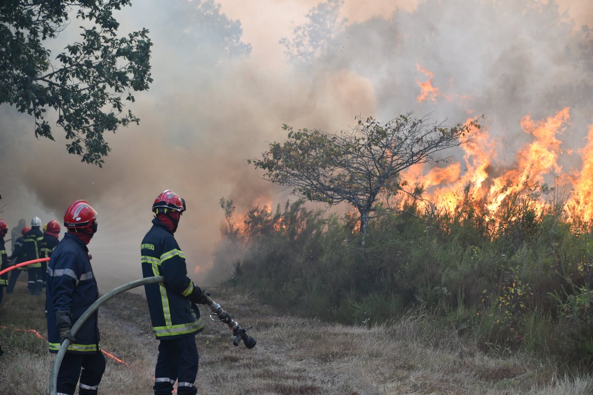 sdis86's tweet photo. Les sapeurs-#pompiers de la #Vienne86 engagés sur le secteur de #Journet #Montmorillon sont désormais maîtres du feu ! https://t.co/qAqjzeqMWd