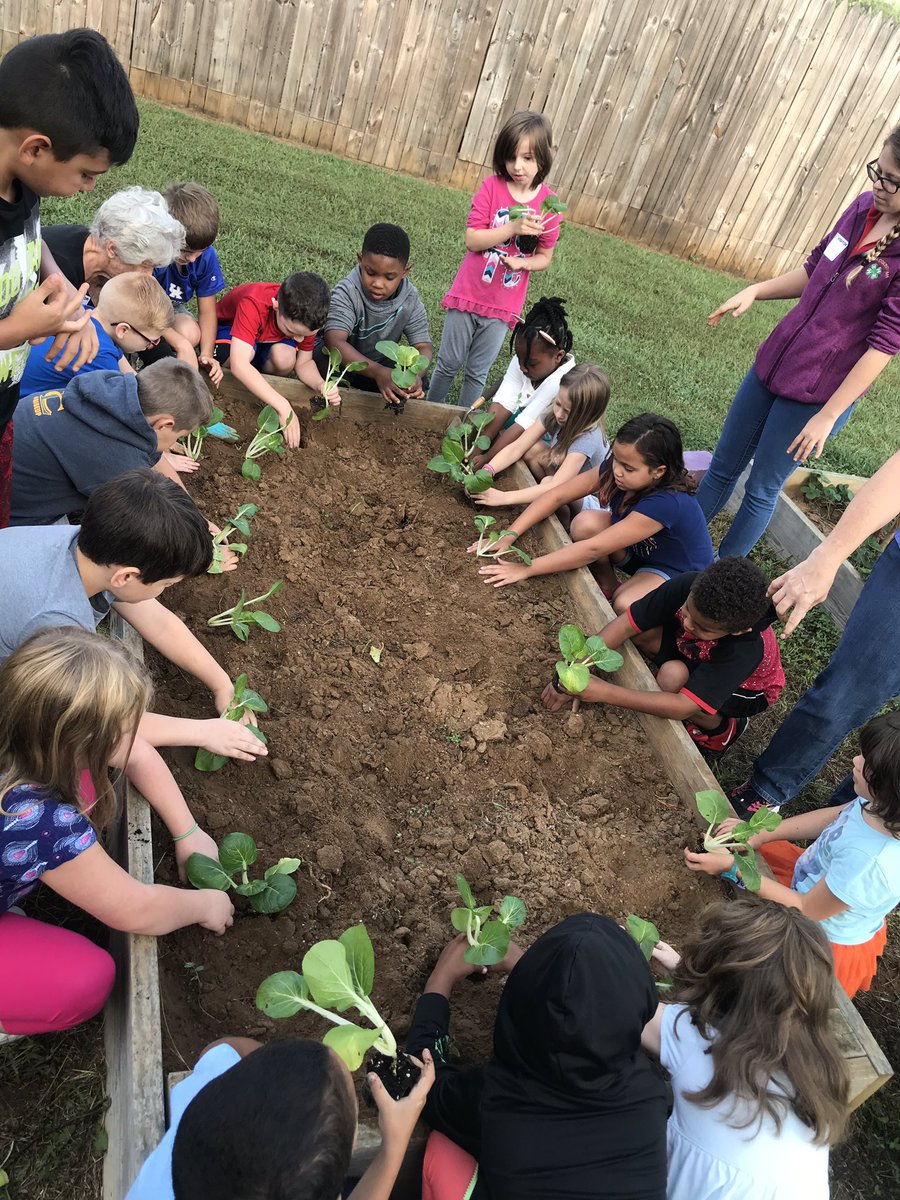 MeganSmall20's tweet photo. Today our local 4H came and gave us the opportunity to plant bok choy! It was fun being able to plant new foods to try and for our cafeteria to use! #epicMNES #teamlcps https://t.co/1nA3EM5mkc