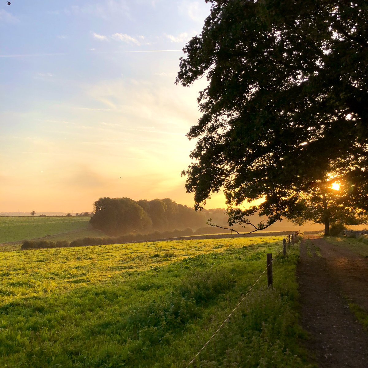 Sunrise at the new creameries. Thrilling scenes at our beautiful new home.