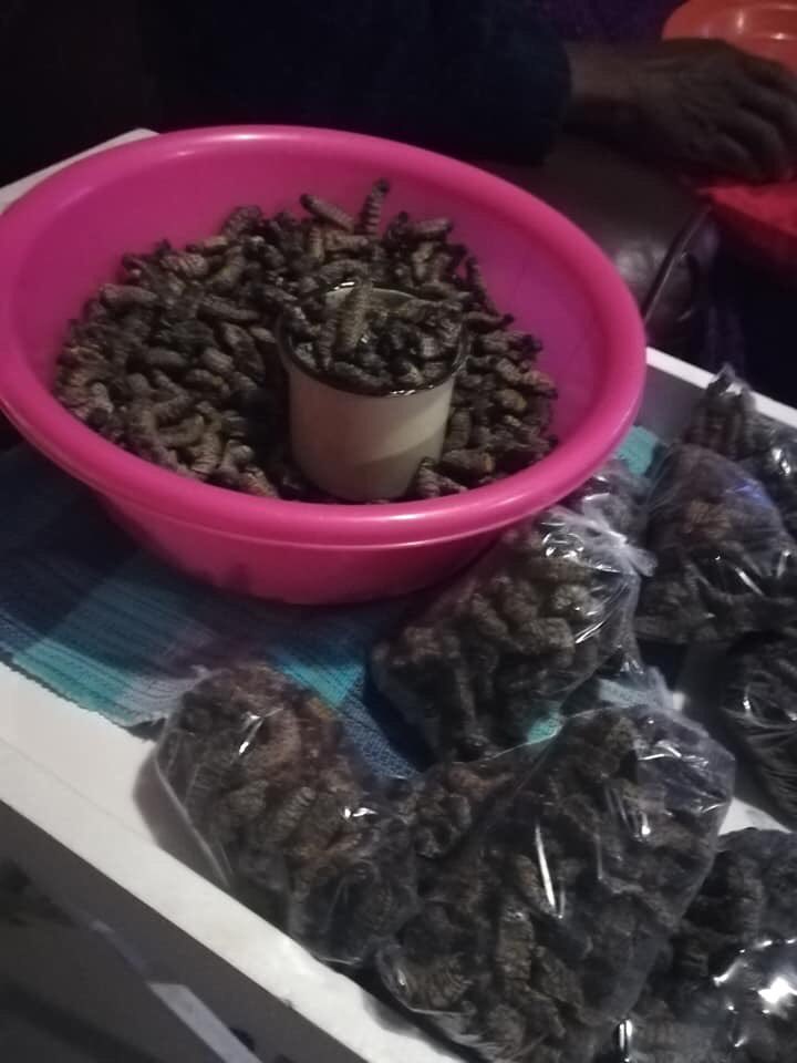 marvin_H96's tweet photo. Enjoy some traditional snacks while you watch soccer. Mashonzha for sale. R30 per Pkt and R25 if you buy 10 pkts or more. My contact is 0829357441. Mondeor South of Johannesburg. Please support #ClubBrugge #CookingNightmare #EnjoyMore #KotaTyme #KotaFestival19 https://t.co/KTFtk8ezid