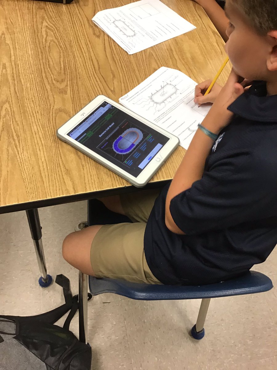 Bluegators5th's tweet photo. Learning from interactive websites! https://t.co/oeENaEFSMT