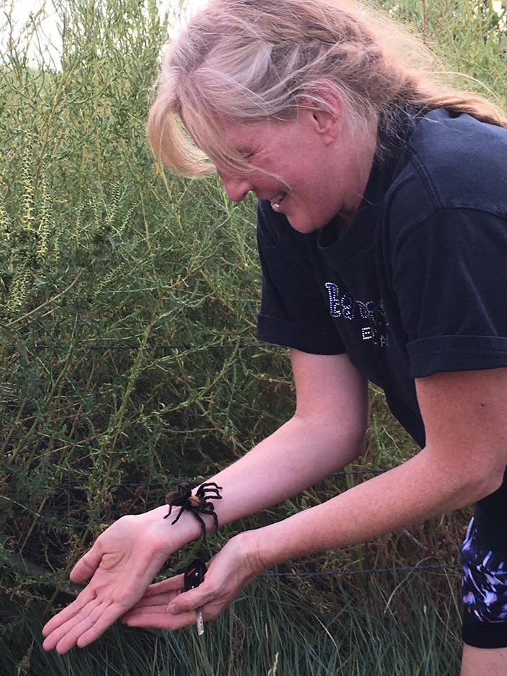 FallRiverES's tweet photo. Now this is Fall River spirit!  Mrs. Carmichael and Mrs. Carlander made the journey to La Junta to video document the tarantula migration in support of the 4th grade spider unit. #StVrainStorm @DPerfettiDeany @SVVSDsupt https://t.co/mEXPhDVIRf