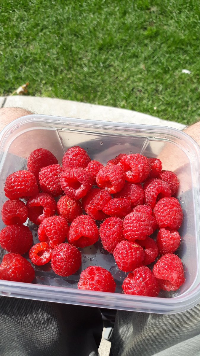 Chuck Roy tweet media