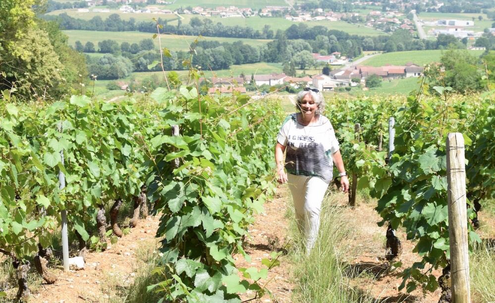 HISTOIRE_DU_VIN's tweet photo. L’inexorable montée en gamme des vins d’appellation mâcon-villages https://t.co/wACwMz2YT8 https://t.co/Bhw98aNyhC