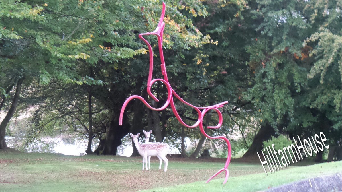 HillFarmDerry's tweet photo. Lucky shot at deer this evening in the from lawn at #hillfarmhouse https://t.co/YyYDInDhuY
