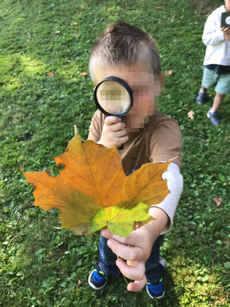 BeckyClift85's tweet image. Brought out some magnifying glasses out to investigate our nature discoveries a bit closer @Harrisfield1 @TVDSB @orrzie #ourdooreducation #nature #kindergarten