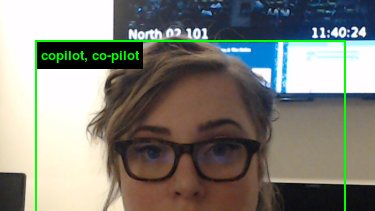 theshescott's tweet image. brb getting my license i think planes fly using magic so i&apos;m gonna go with that #imagenetroulette