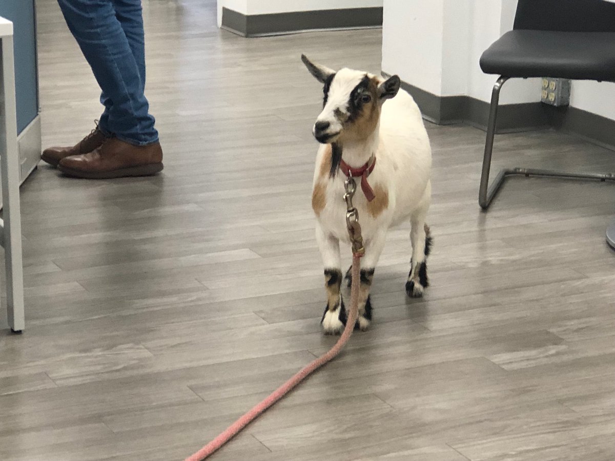 Brian Farrell tweet media