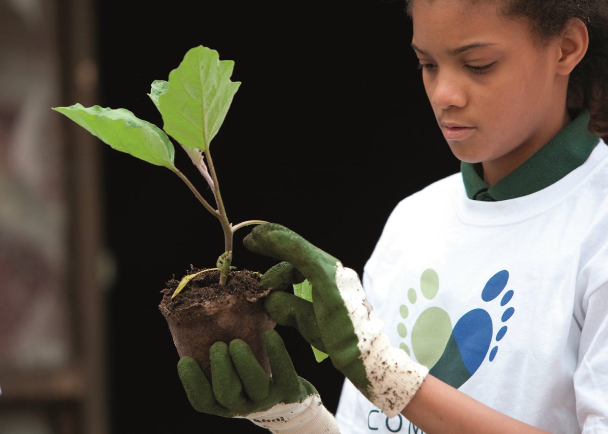 Magnificent Forest Park, five minutes from the <a href="/RitzCarlton/">The Ritz-Carlton</a>, has a treasured flower array and offers a special chance for <a href="/RitzCarlton/">The Ritz-Carlton</a> guests to lend a helping hand in assisting with its stunning gardens. <a href="/RitzCarltonCSR/">Community Footprints</a>