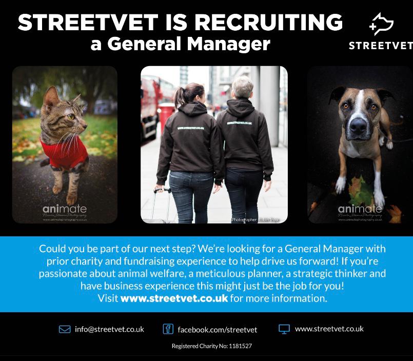 Are you looking for a new challenge?
We are recruiting for two positions to work within an evolving Charity.
Both positions will be based in Battersea with FT or PT positions for the right applicants.

Pls follow the link for more information 🐾
streetvet.co.uk/vacancies/