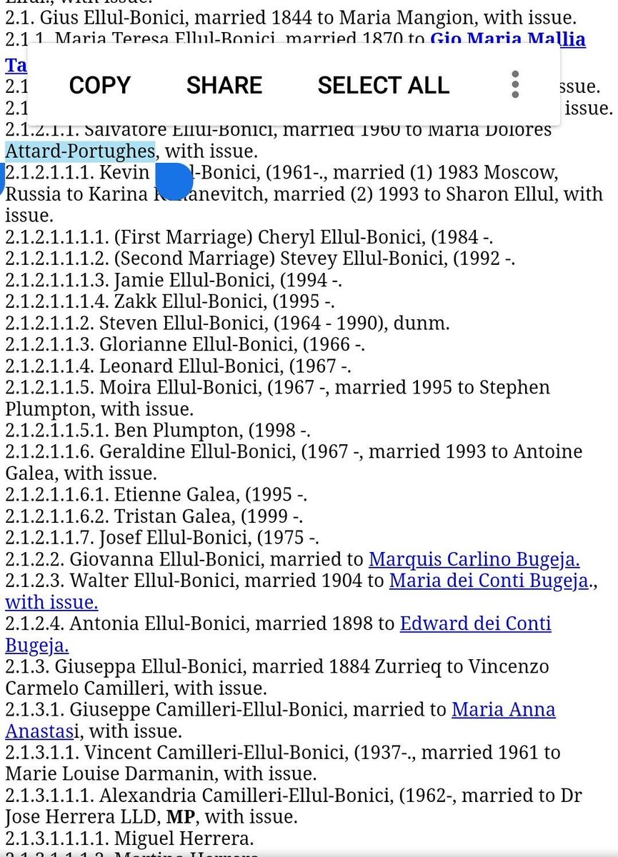 EyeOnMalta's tweet photo. @coe #DaphneCaruanaGalizia
702
@CoE
#Herrera #KevinEllulBonici
I rec another msg:
"Pls mention other"noble" #Kev (id on D's blog)/worked w #Farage #Brexit:wife Sharon/office w #Gaddafi$ #Sammut /#MuscatStar/LinkedTo #Belsito #Lega €€:arrested f/traff AfrDiamonds/ FakeHamrunDegree https://t.co/ZtieDKmt3g
