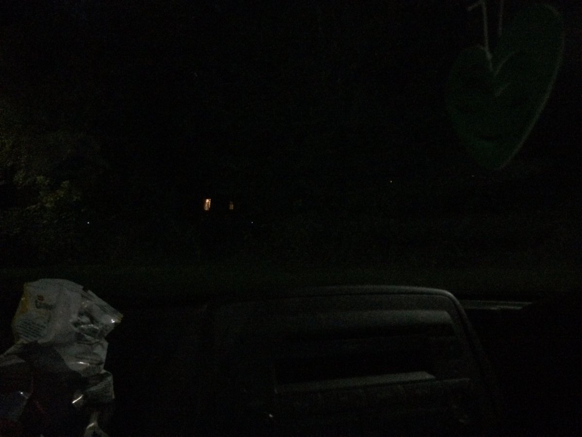 TarnRichardson's tweet photo. The view of the trees didn’t last long. #autumn #nightsclosingin #amwriting #inacar https://t.co/YCyJWukRgr