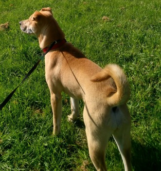 B71 Hashtag On Twitter