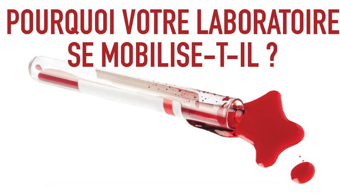 Destimed's tweet photo. #laboengreve A l'appel des 4 syndicats de biologistes - #SDB #SNMB #SLBC #SJBM une grève nationale des laboratoires de biologie médicale est annoncée à partir du 23 septembre -@SyndicatDBio plus d'info ➡️https://t.co/frOGSvkrFQ https://t.co/VJGqv63KMD