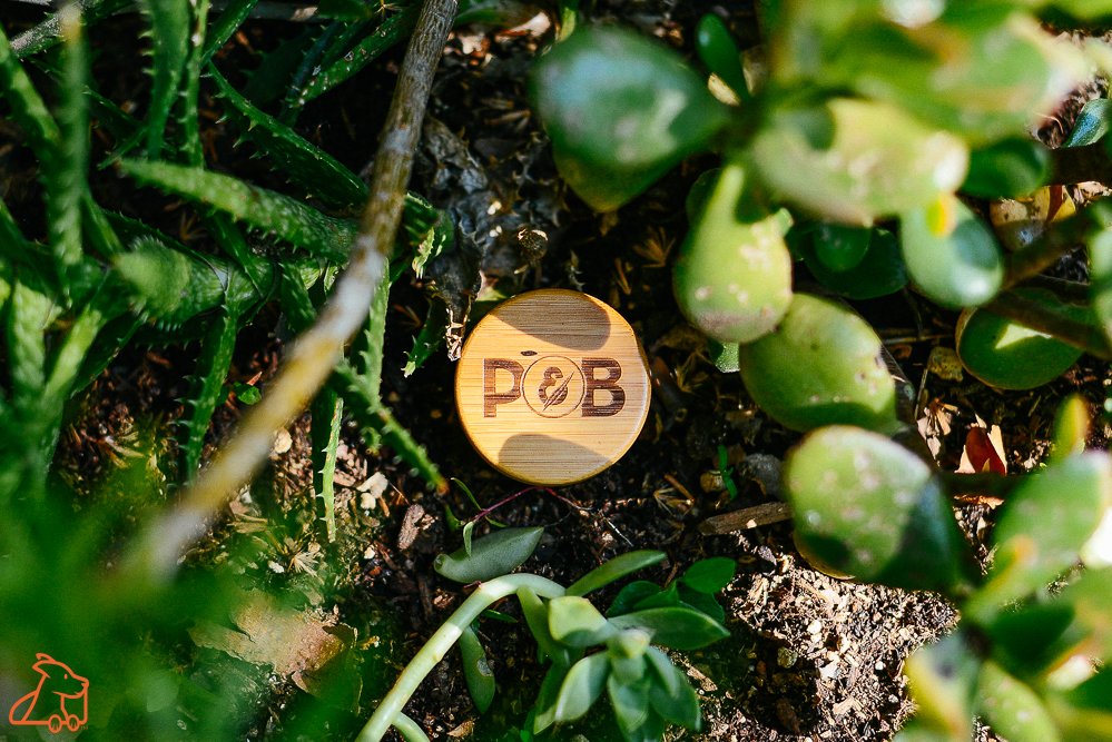 There's something SPECIAL going on at Kind Courier this month that includes <a href="/papaandbarkley/">Papa & Barkley</a> ! Go check it out (link in profile).

#cannabisinfused #cbdtinctures #cannabistopicals #seacliff #northbeach #pier39 #embarcadero #financialdistrict #sanfranciscocalifornia #westcoast