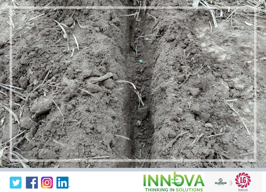 IAgroservicios's tweet photo. 👉Seguimos con la siembra de materiales de @LG_SEMILLAS en busca de máximos rendimientos!, hoy estamos en Viale Entre Ríos!

#sursem #LGsemillas #maximorendimiento #maiz #corn #siembradegruesa2019 
#thinkinginsolutions https://t.co/7ifiHAC7Gd