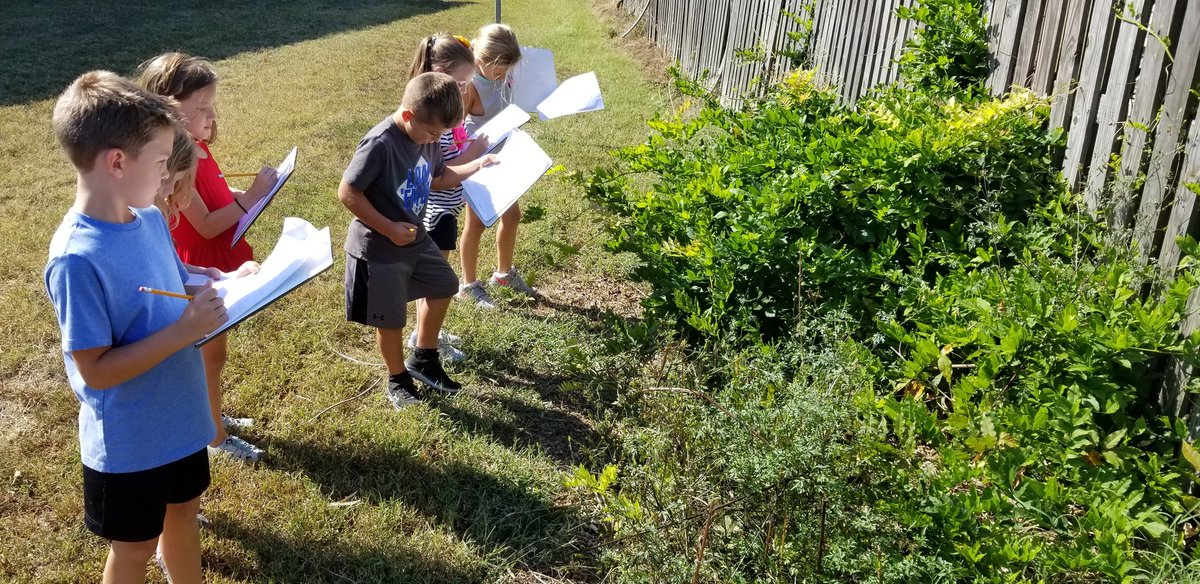 LakeShoreAACPS's tweet photo. Second grade scientists @LakeShoreAACPS make observations and notes on nature surrounding their school with Mrs. Steimetz leading them in "Place Based" scientific discovery.
#AACPSAwesome  #AACPSScience 
#Placebasededucation 
@LakeShoreAACPS https://t.co/ndW9Bkb3Q9