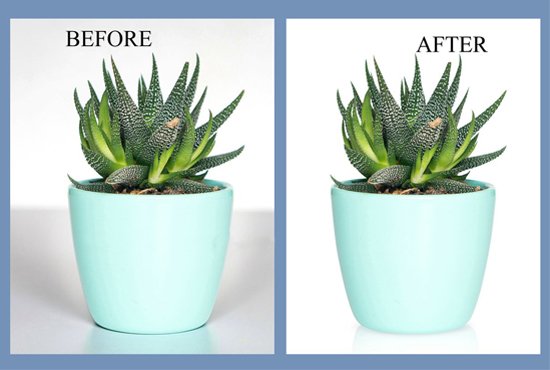 MVolianyk's tweet photo. Hello sir,
I am a professional graphics designer.With 4 year Experience.
then follow my fiverr gig:https: https://t.co/cLNXkPsbQD

#OLYTOT #PSGRMA #AFirstDateBecomesTheLastWhen #kyiv #TheGroup #PCAs #sacklaurakuenssberg #PSGRMA https://t.co/z4Om6HgJ5w