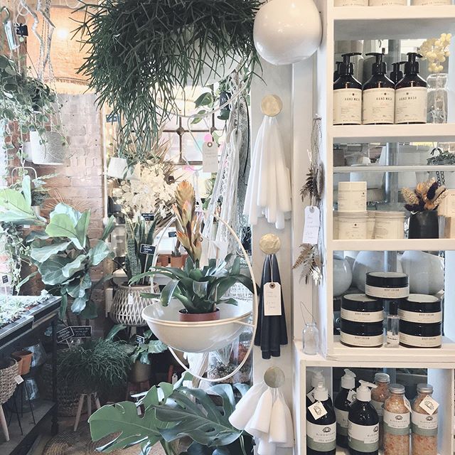 What a dream today has been. With Tal in nursery Luna and I headed out to Lewes for a wander / guided walking tour led by the wondrous <a href="/thisisnaomigale/">Naomi Gale</a> and her two babes. Not entirely sure why I’ve never visited Lewes before but OH MY it’s a beaut place.… ift.tt/2AqdEFg