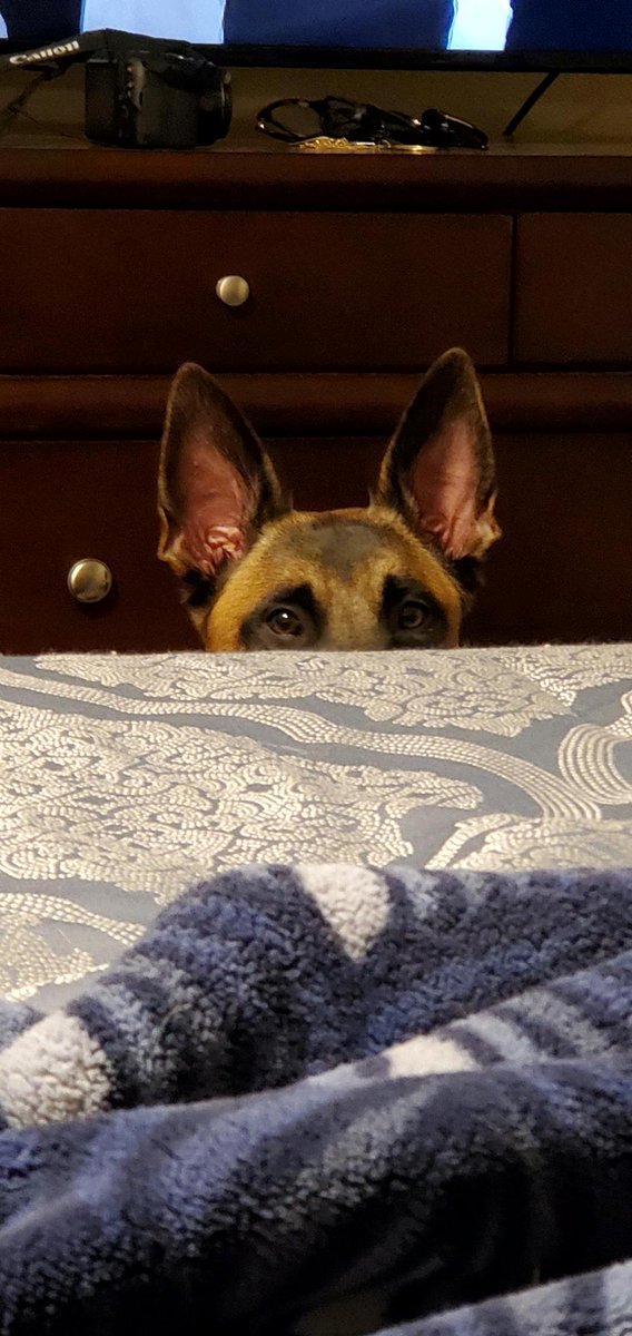 In A Pinch Business Services Twitter