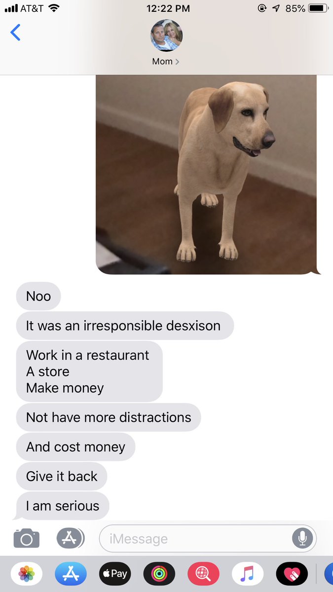 JacksonDoneHere's tweet photo. So apparently Google has an AR dog that you can insert into your environment... these are my moms thoughts https://t.co/ZWETV8zJq5